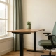 Ergonomische zit-sta werkplek met houten bureau, certificeerde bureaustoel en groen plantje in zonnig Nederlands kantoor.