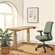 Ergonomische zit-sta bureau in zonnige Nederlandse thuiskantoorhoek met verstelbare stoel, kamerplant en houten vloer.